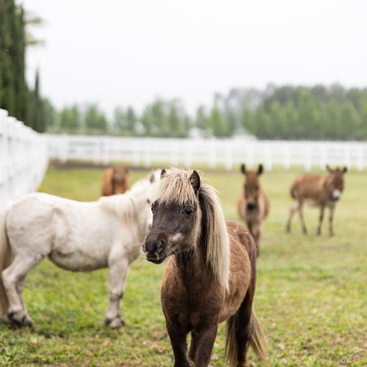 Photo of Others in Cape Winelands