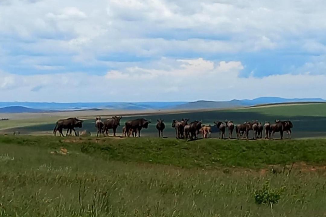 Photo of Others in Maluti a Phofung