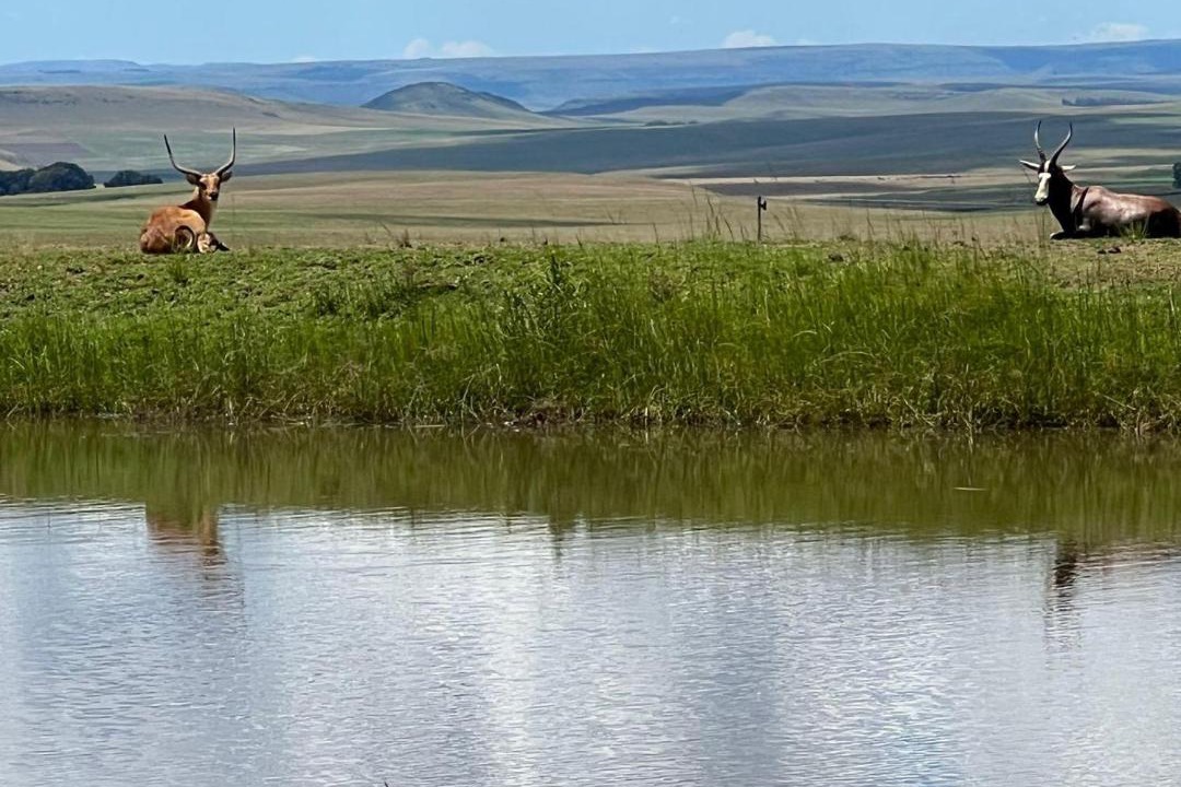 Photo of Others in Maluti a Phofung