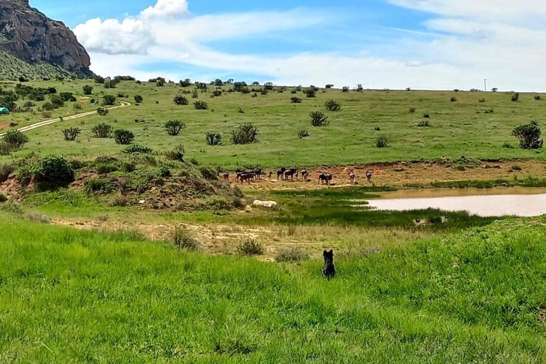 Photo of Others in Maluti a Phofung
