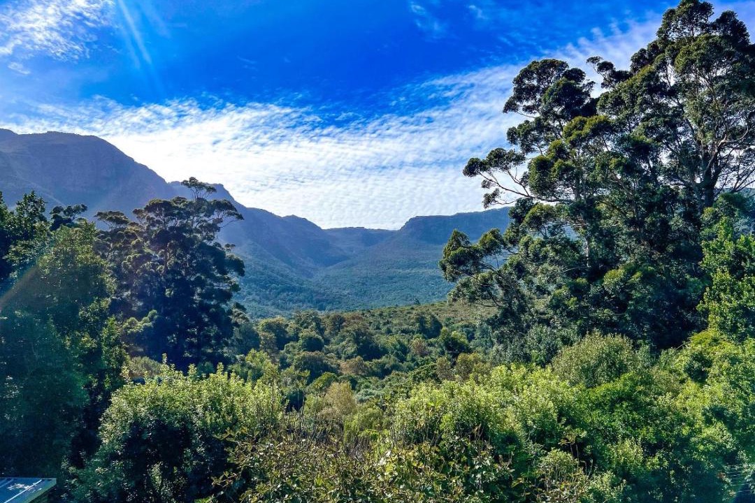Photo of Others in Cape Town