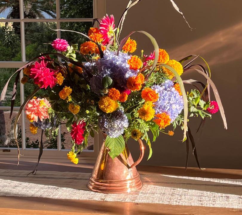 Photo of Others in Franschhoek