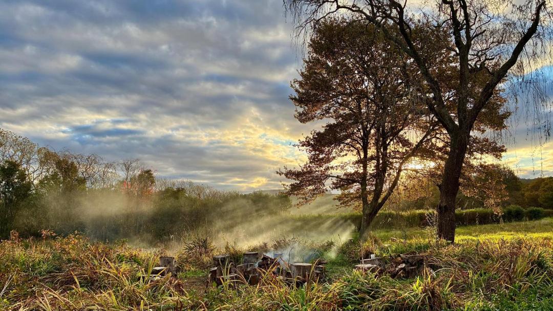 Photo of Others in Midlands Meander