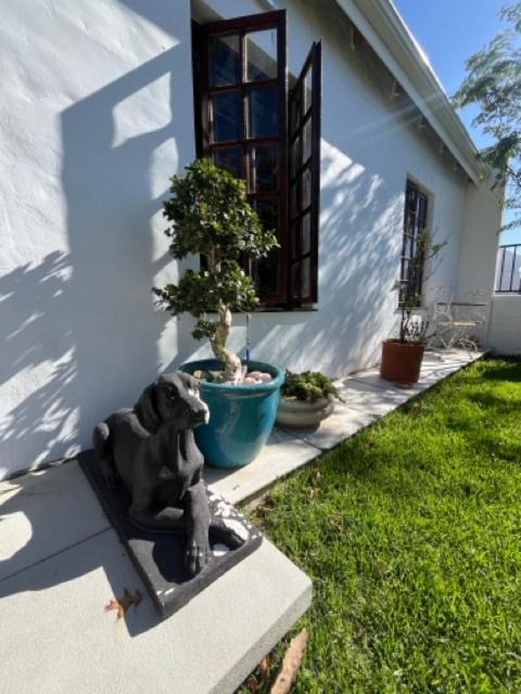 Photo of Others in Somerset West