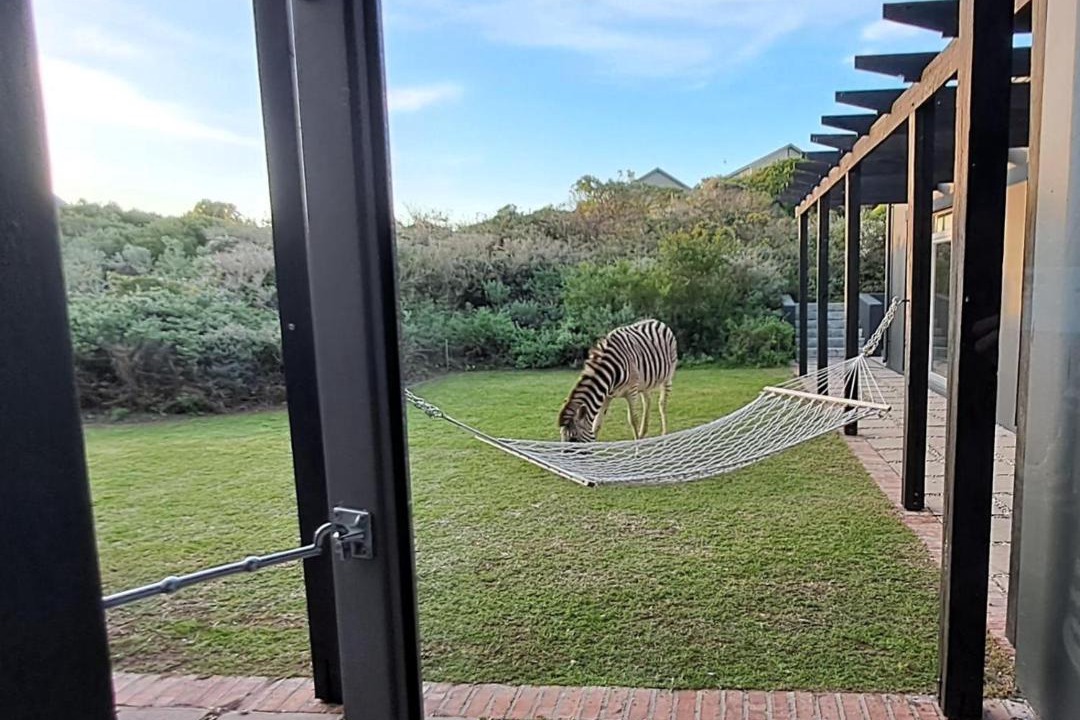 Photo of Others in Gansbaai