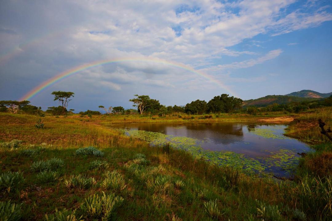 Photo of Others in Nelspruit