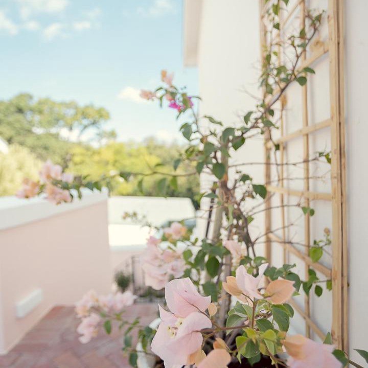 Photo of Others in Franschhoek