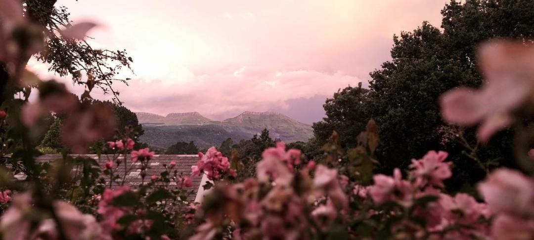 Photo of Others in Hogsback