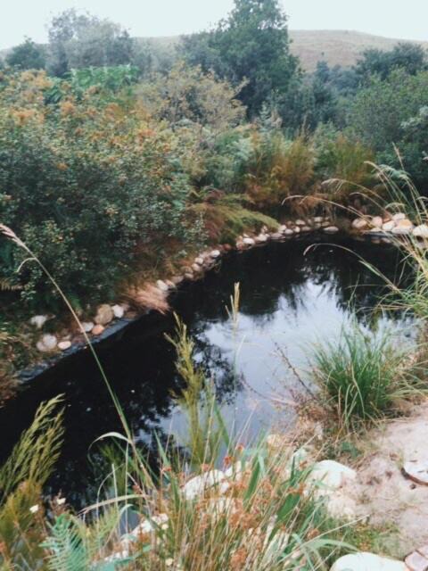 Photo of Others in Barrydale