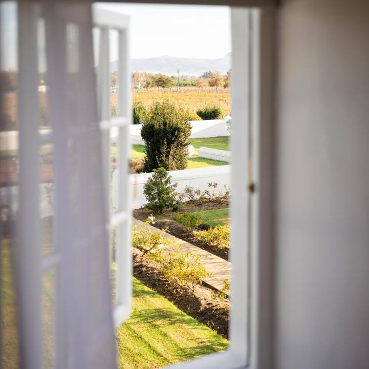 Photo of Others in Cape Winelands