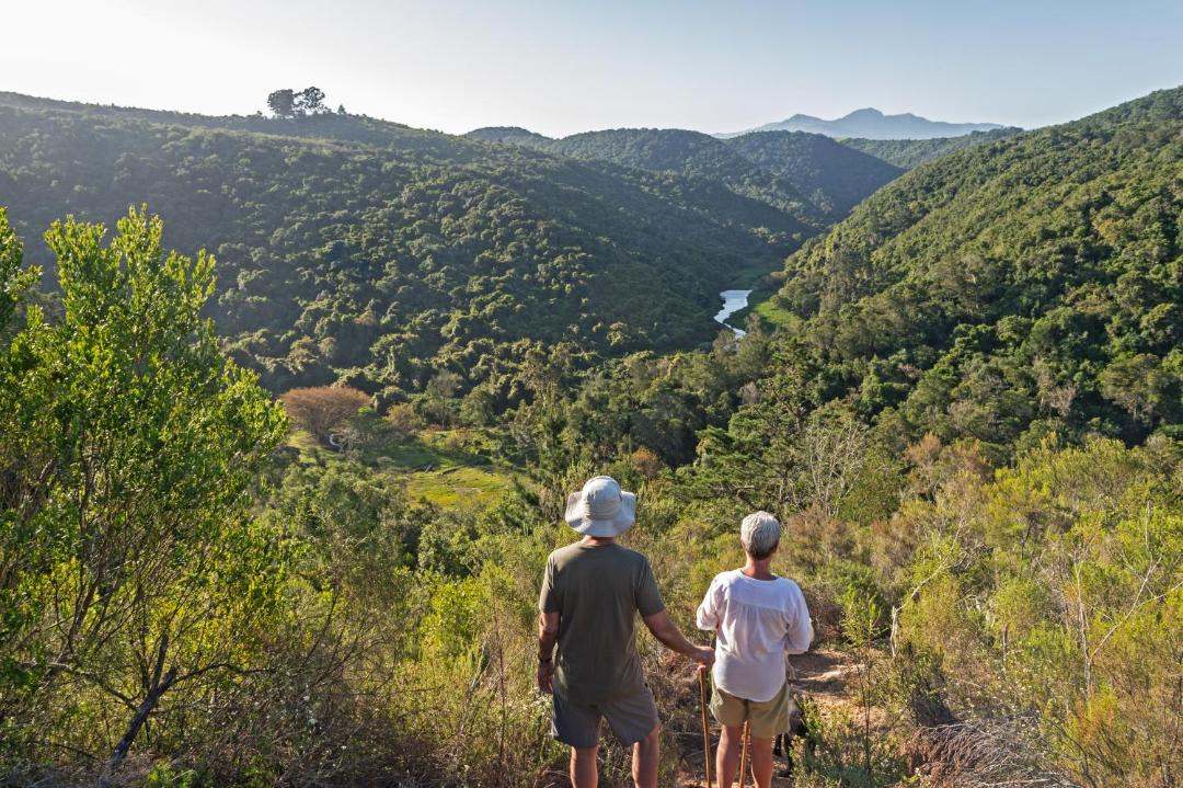 Photo of Others in Knysna