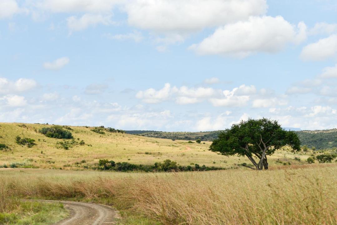 Photo of Others in Ladysmith