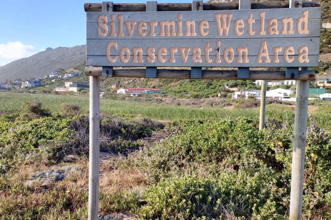 Photo of Others in Fish Hoek