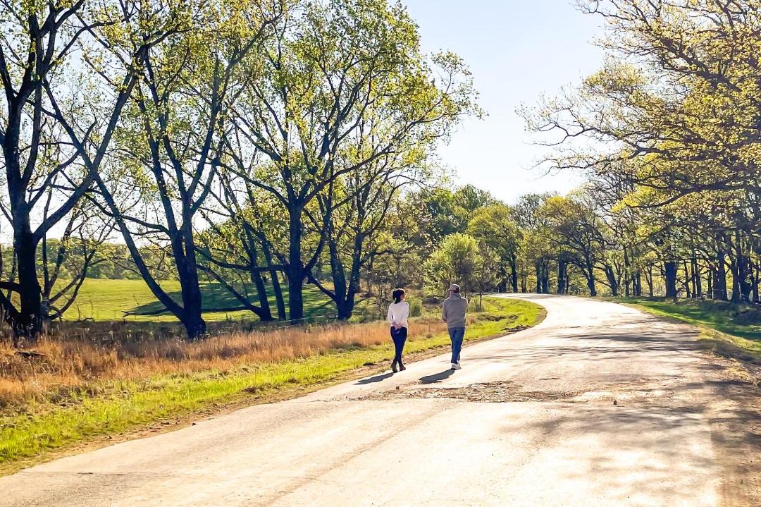 Photo of Others in Midlands Meander