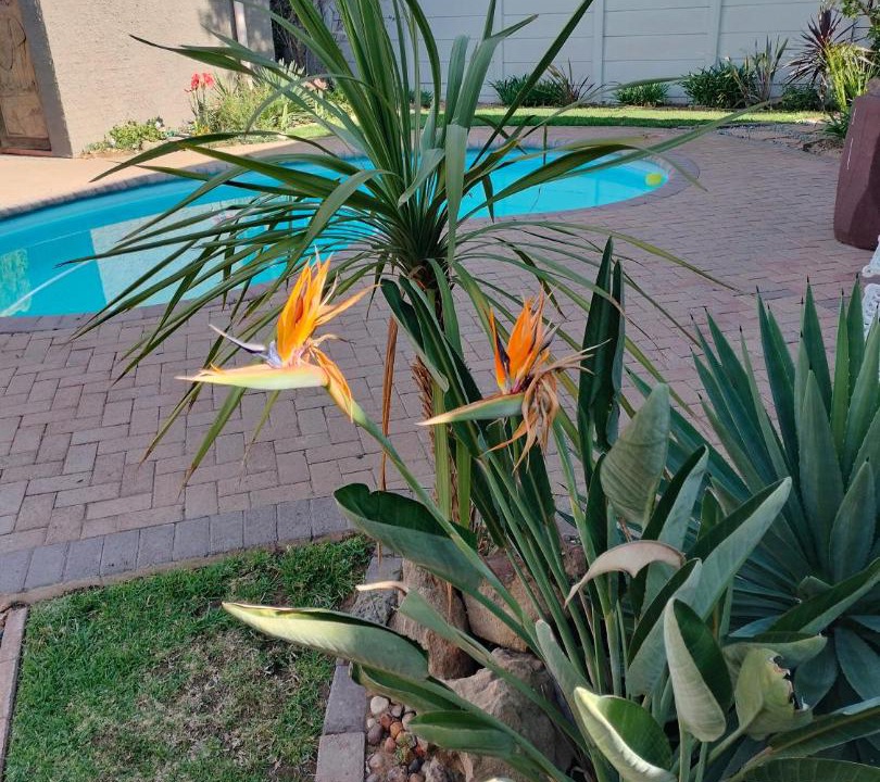 Photo of Others in Welkom