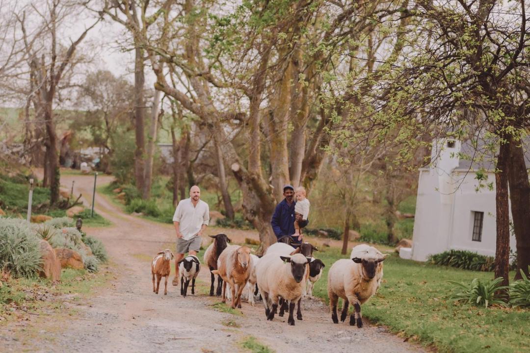 Photo of Others in Raithby