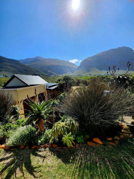 Photo of Others in Betty's Bay