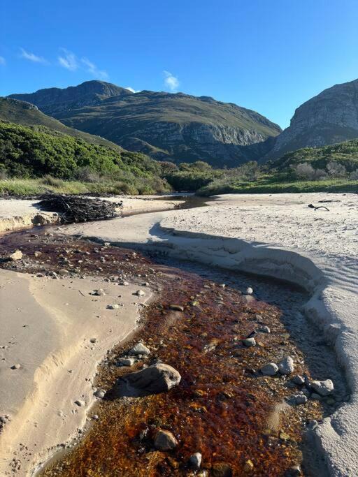 Photo of Others in Betty's Bay