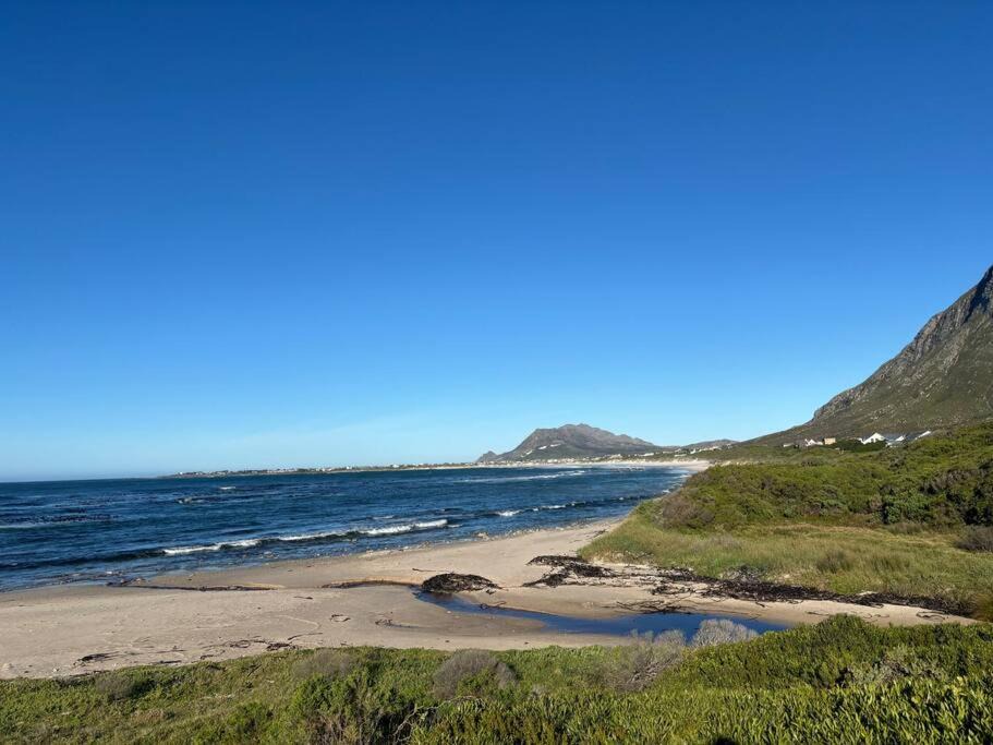 Photo of Others in Betty's Bay