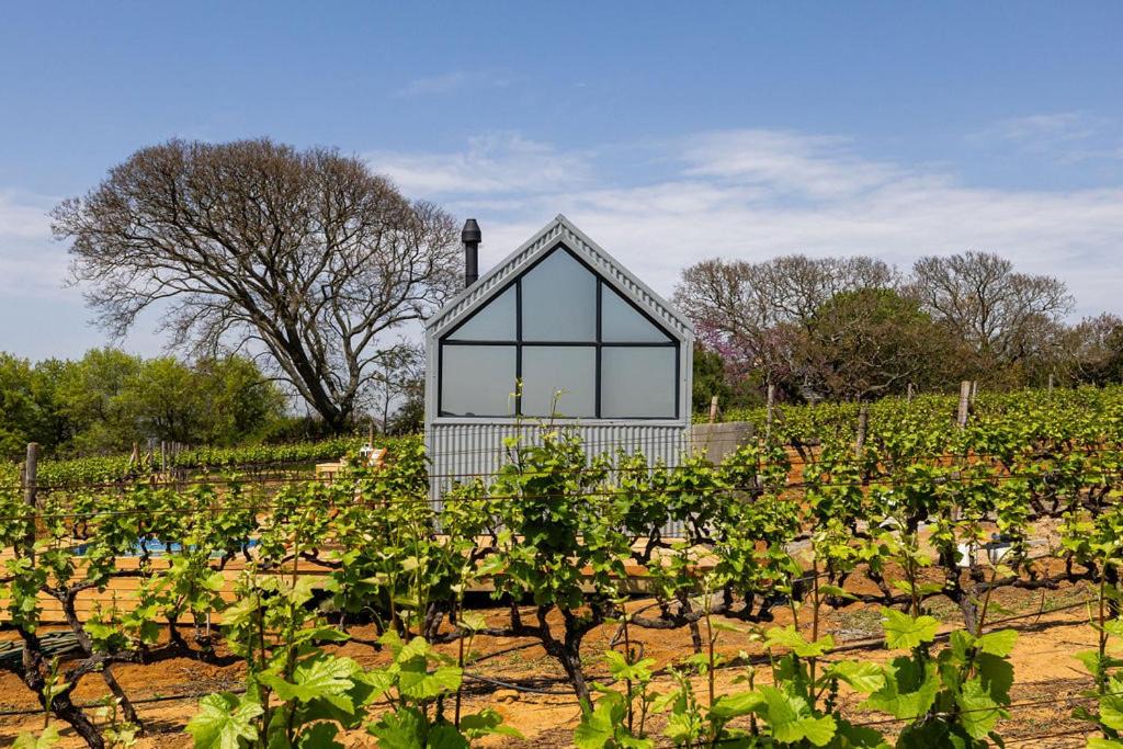 Photo of Others in Stellenbosch