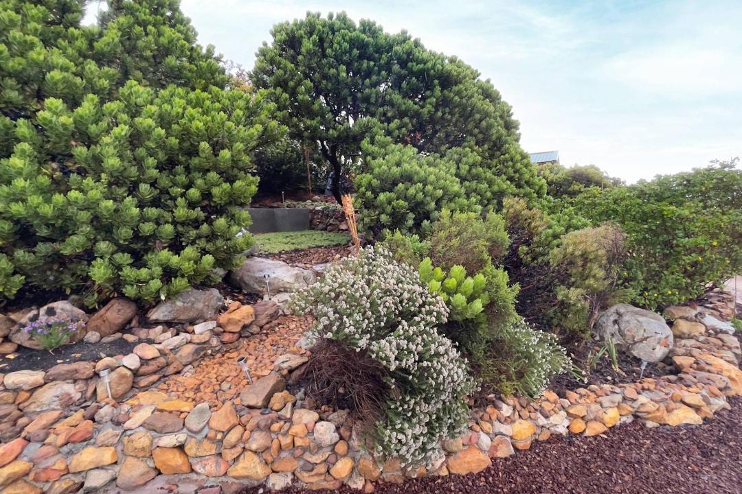 Photo of Others in Pringle Bay