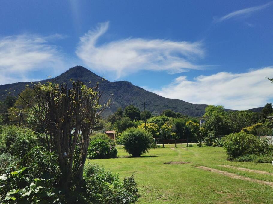 Photo of Outdoor in Storms River