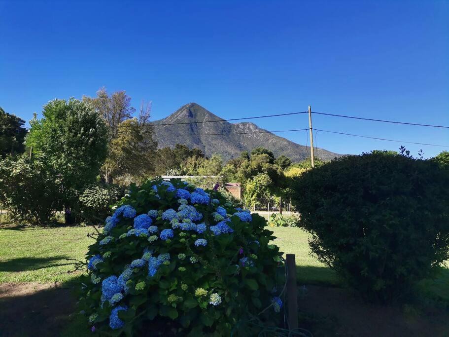 Photo of Others in Storms River