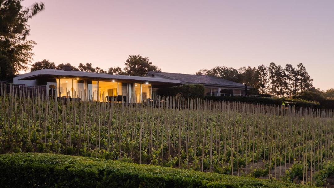 Photo of Others in Cape Winelands