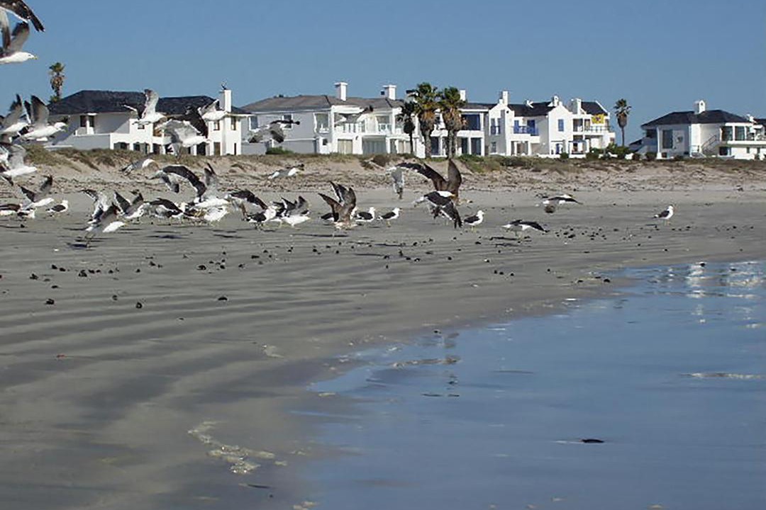 Photo of Others in Shelley Point