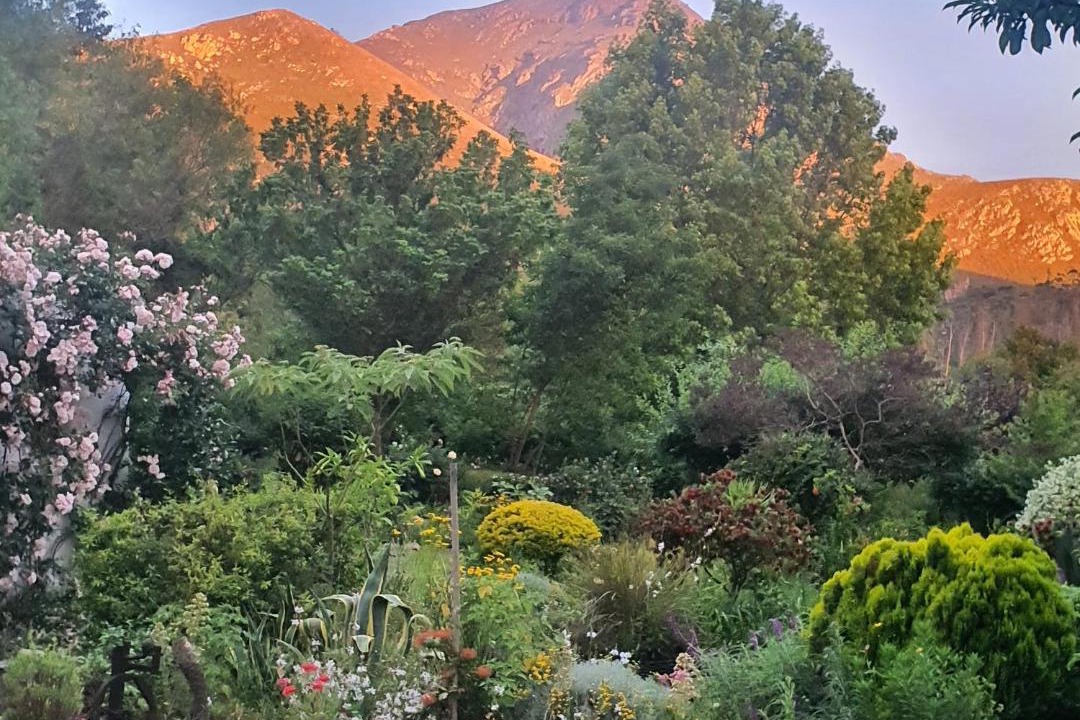 Photo of Others in Greyton
