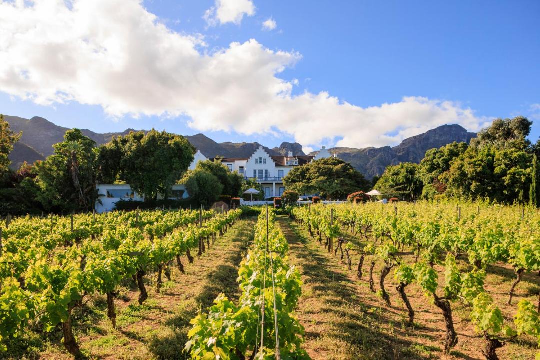 Photo of Others in Constantia