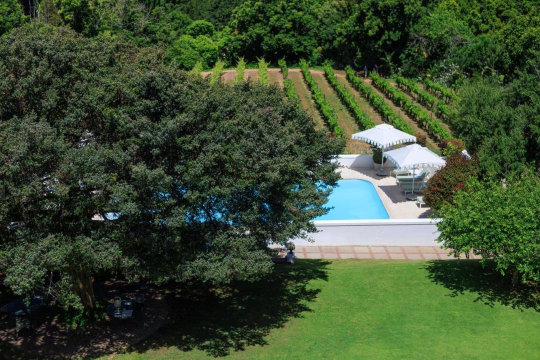 Photo of Others in Constantia