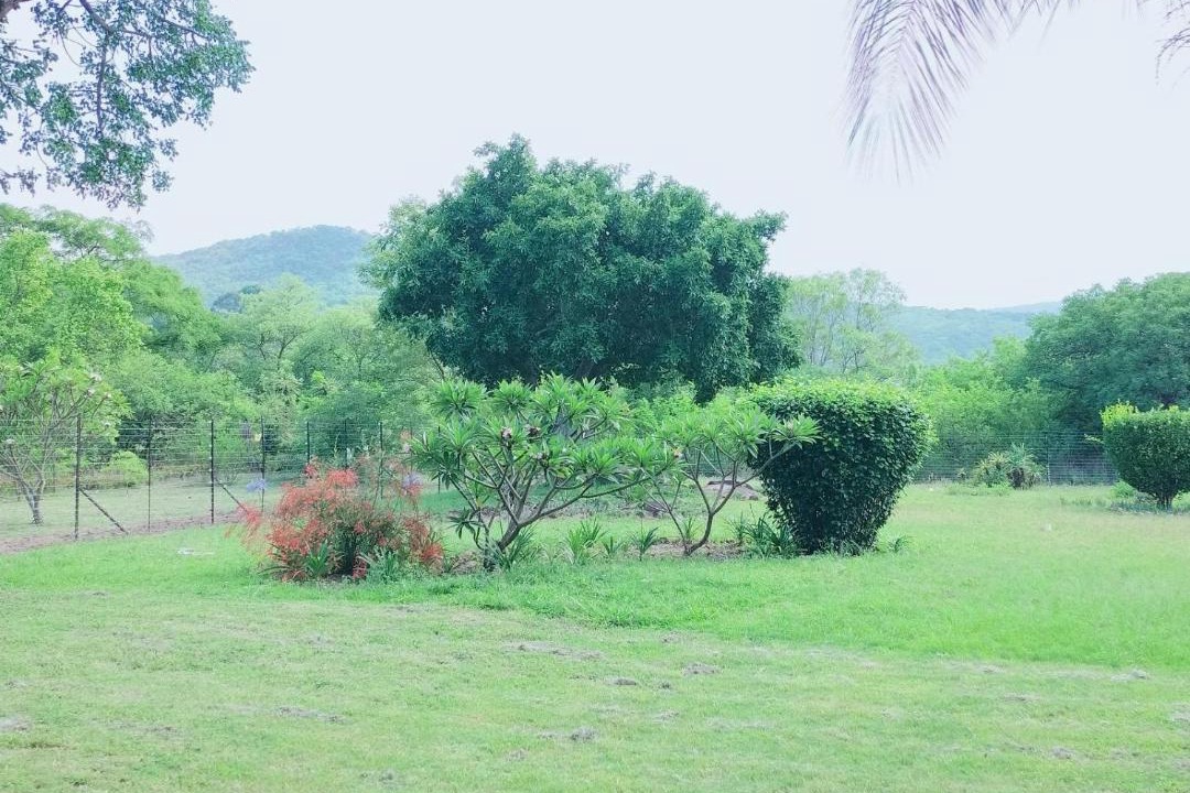 Photo of Others in Nelspruit