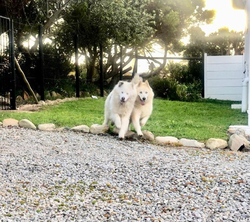 Photo of Others in Betty's Bay
