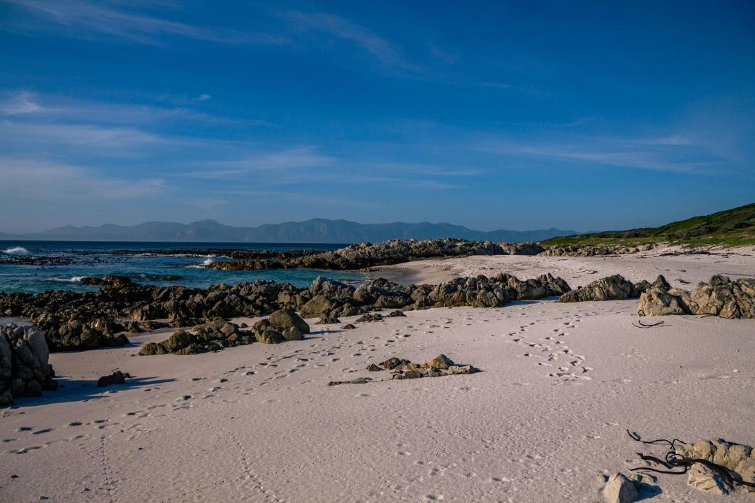 Photo of Others in Gansbaai