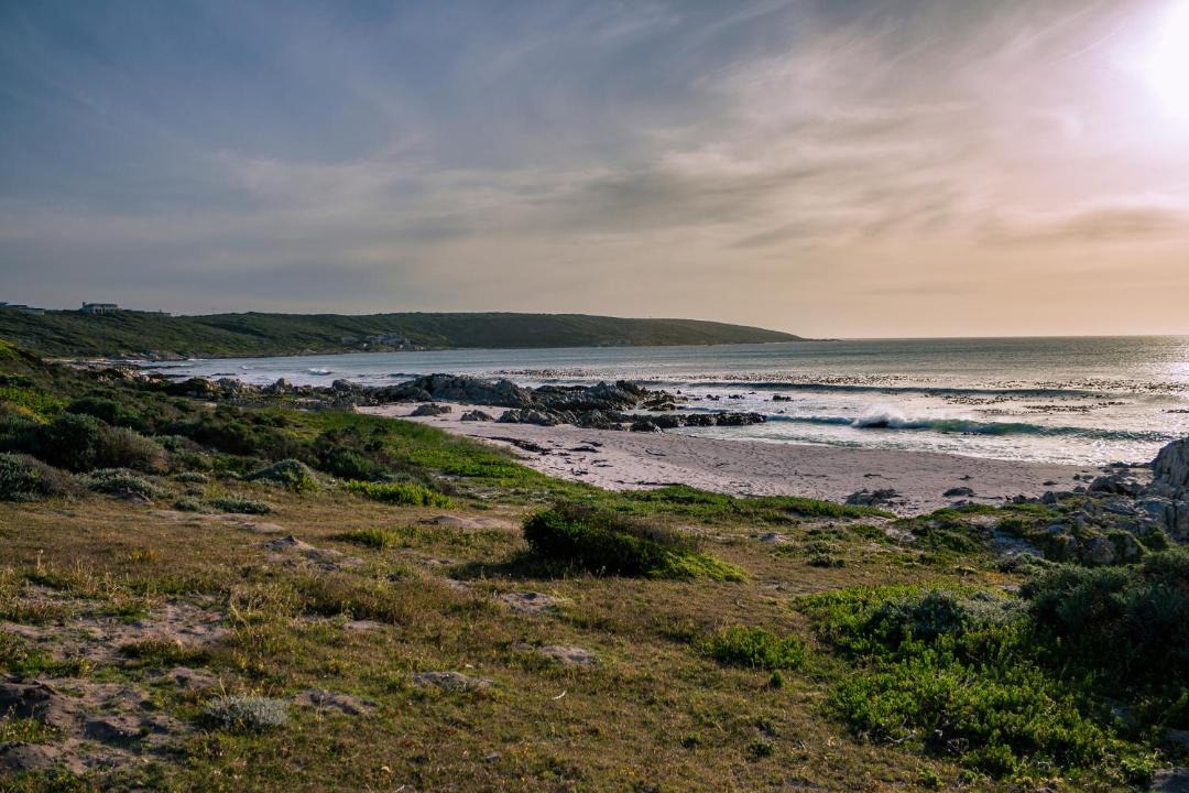 Photo of Others in Gansbaai