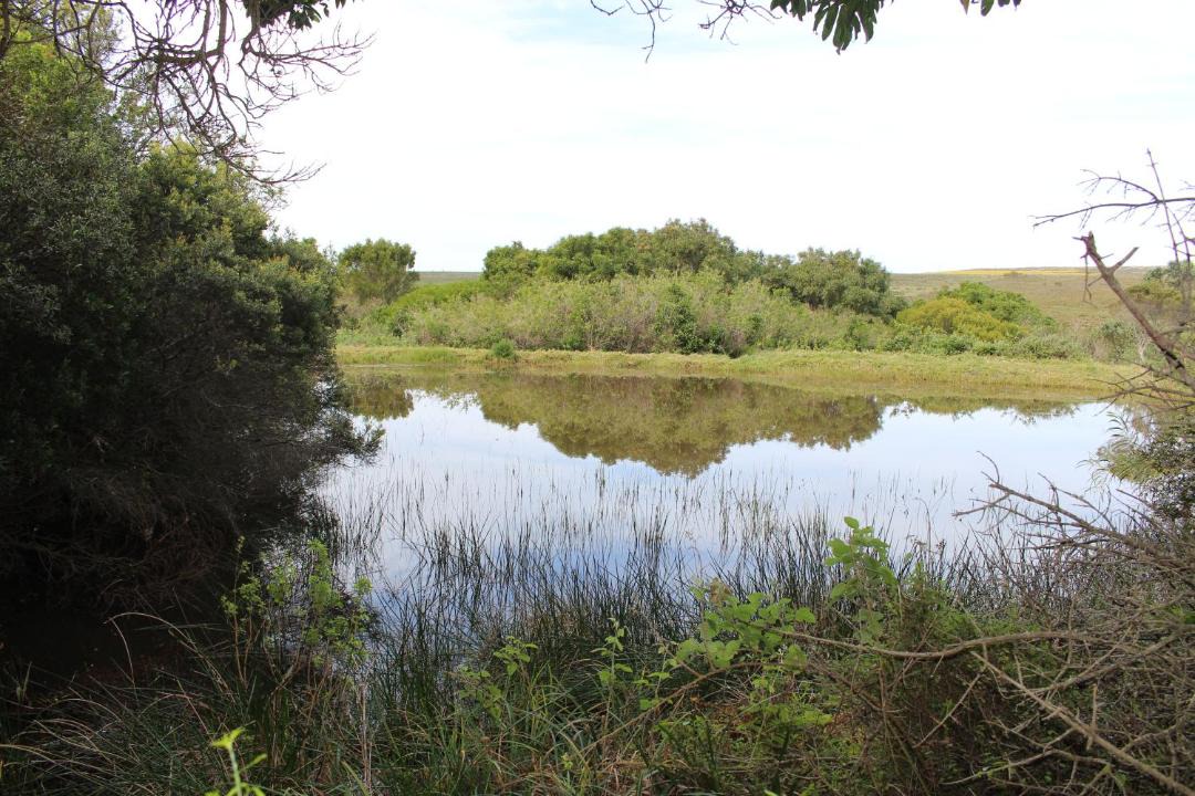 Photo of Others in Humansdorp