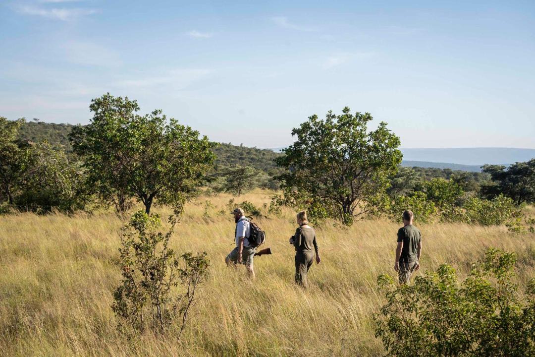 Photo of Others in Vaalwater