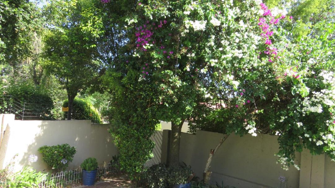 Photo of Others in Randpark Ridge