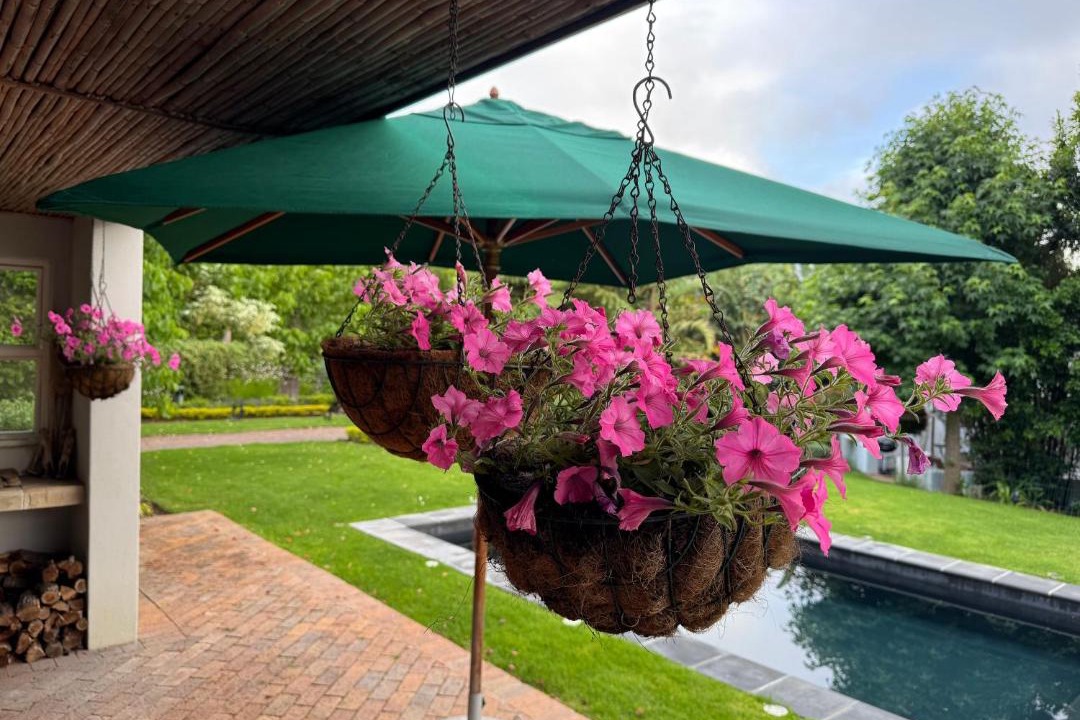 Photo of Others in Constantia