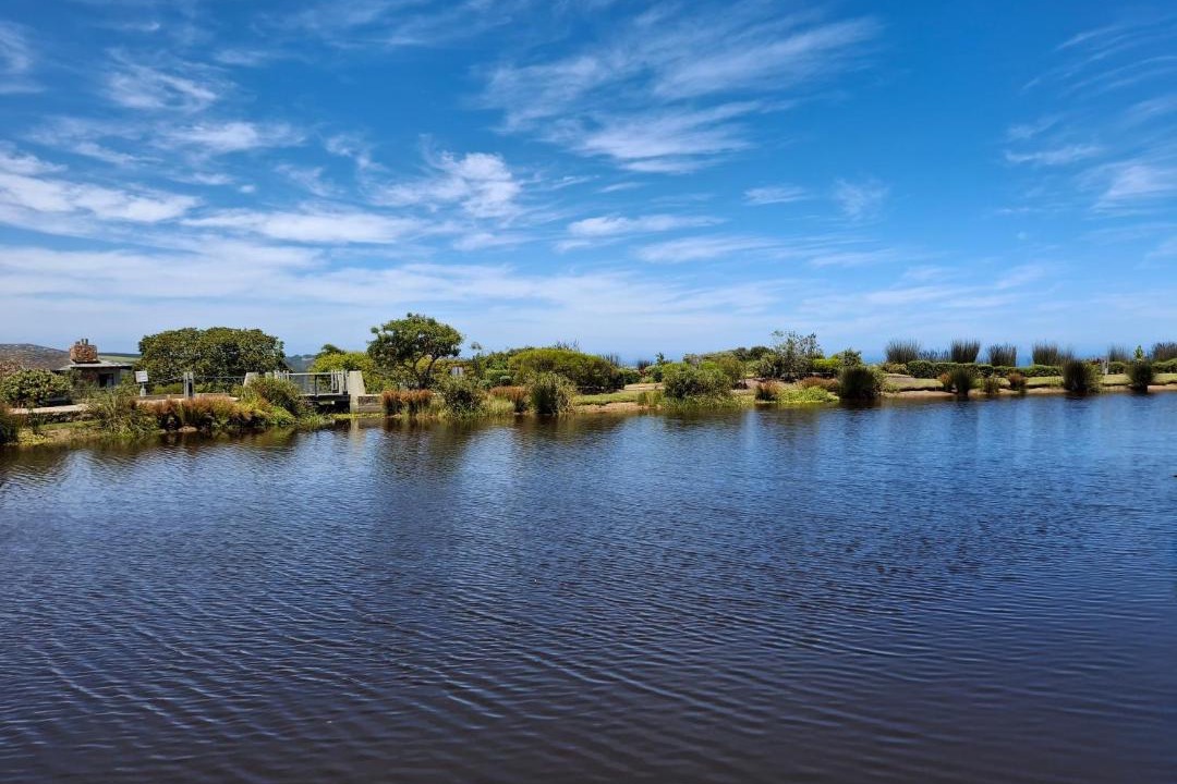 Photo of Others in Herolds Bay