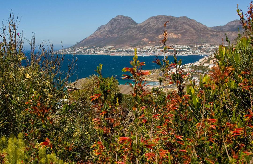 Photo of Others in Fish Hoek