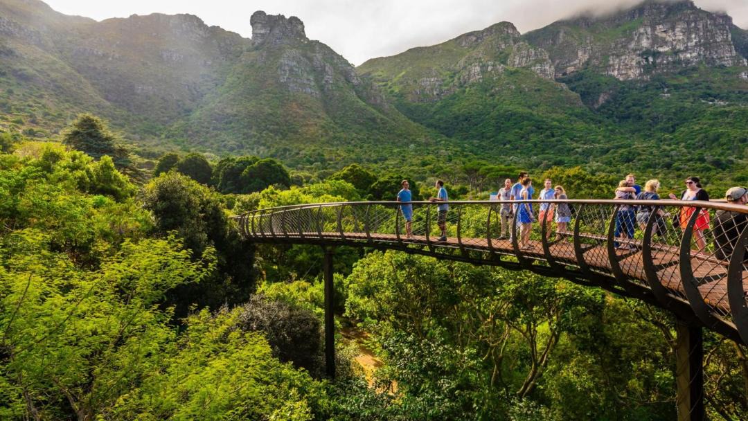 Photo of Others in Cape Town City Centre