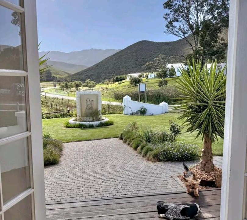 Photo of Others in Geduld