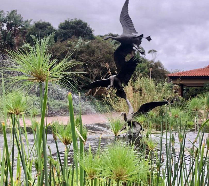 Photo of Others in Zimbali Coastal Estate