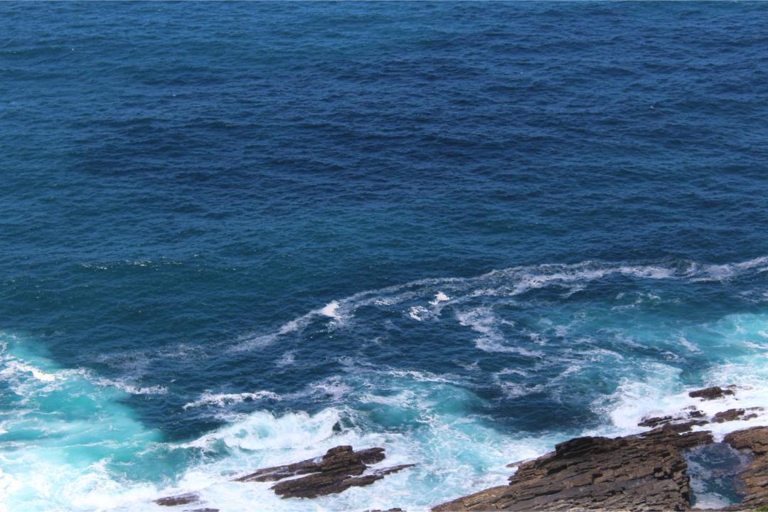 Photo of Others in Storms River