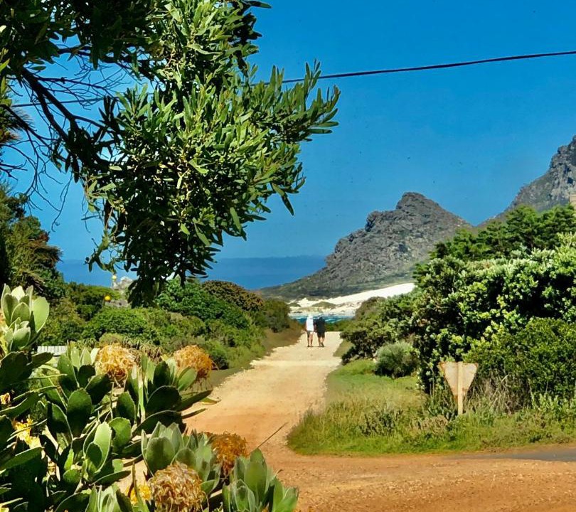 Photo of Others in Betty's Bay