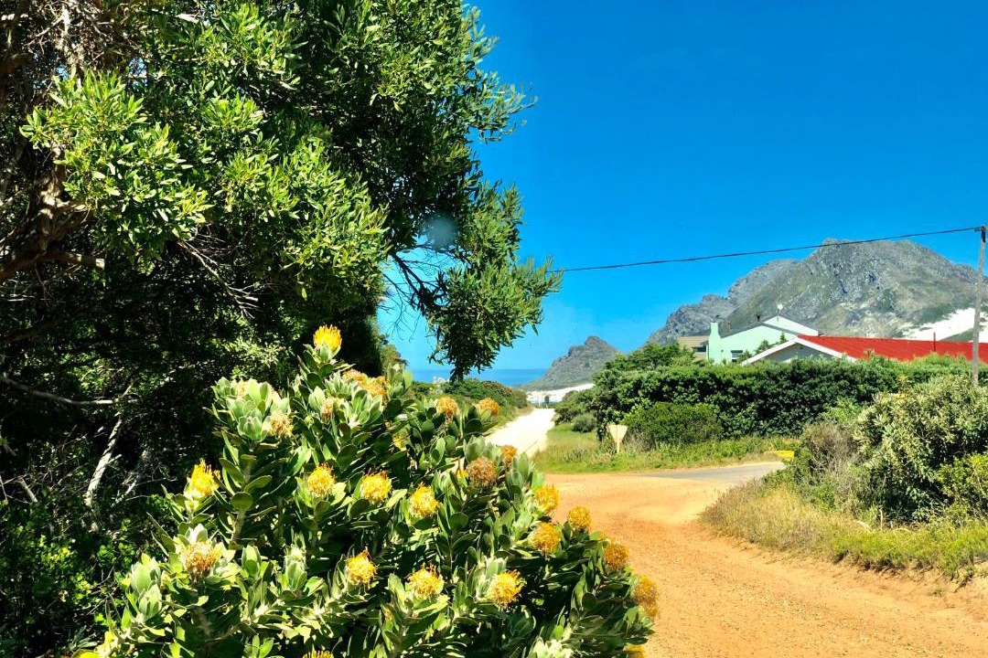 Photo of Others in Betty's Bay