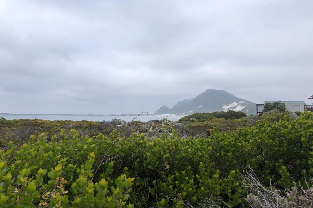 Photo of Others in Betty's Bay