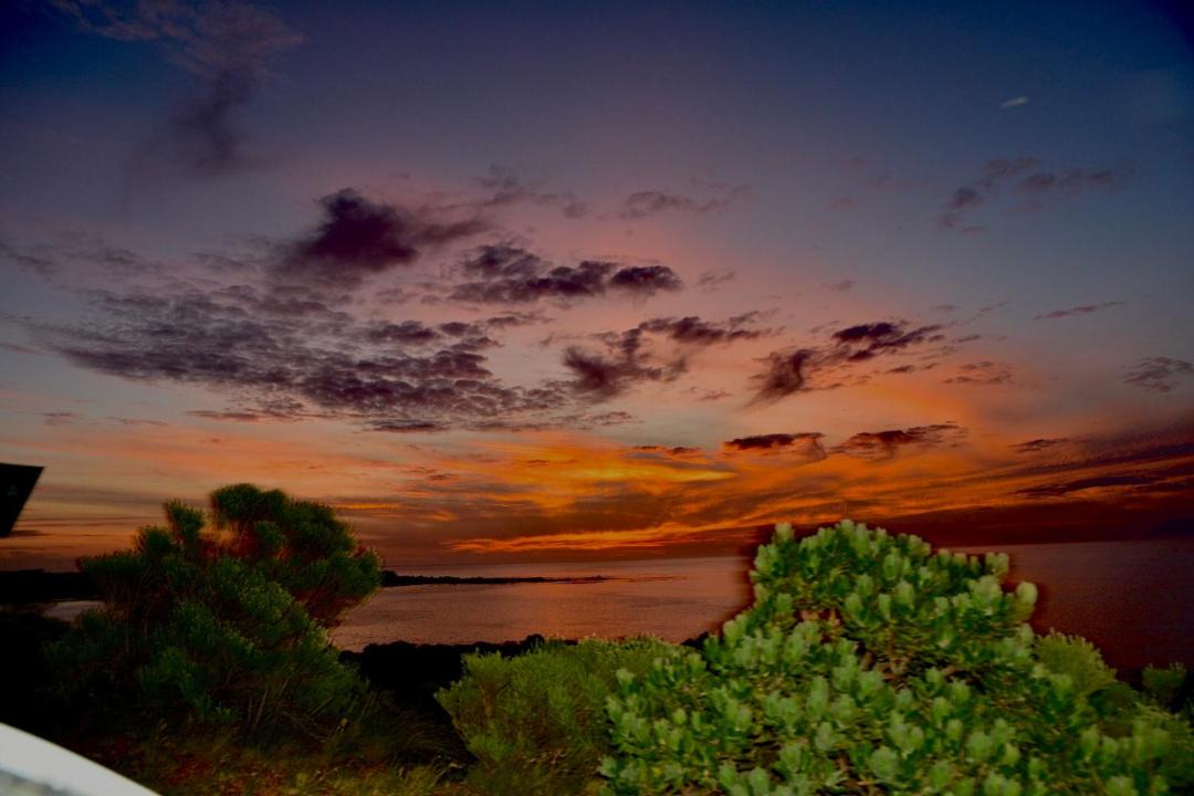 Photo of Others in Betty's Bay
